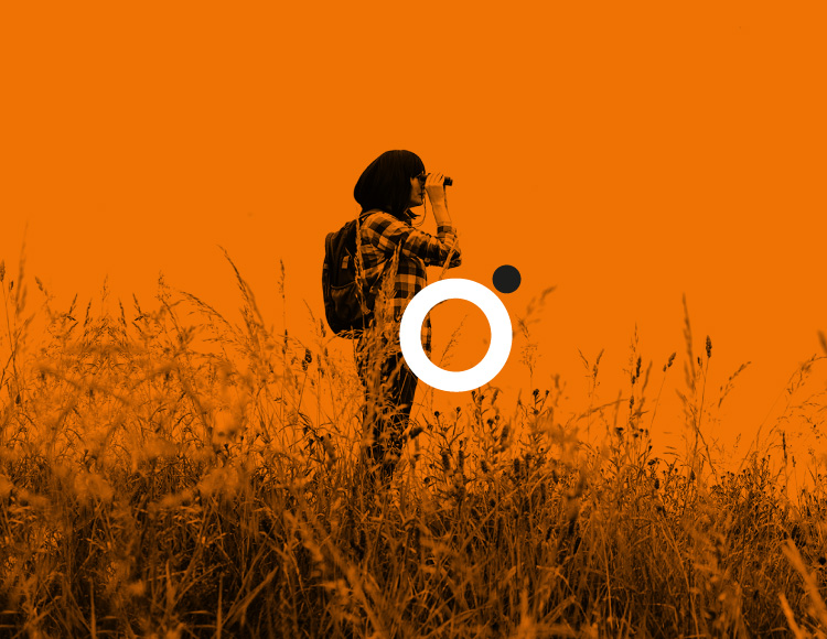 nodo360 narrativa + diseño integradas estratégicamente. branding, memorias anuales, resúmenes ejecutivos, presentaciones de impacto, brochures, estrategia de marca, identidad visual, storytelling. identidad que se ve, se dice y se siente.